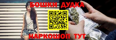 гашик Жуковский